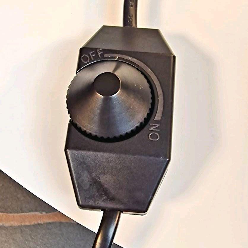 Raspberry dimmable LED Table Lamp with Dark Grey Base